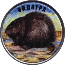 Ондатра аверс