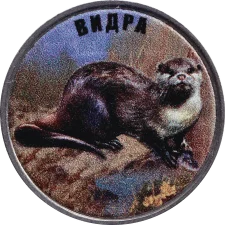 Видра аверс
