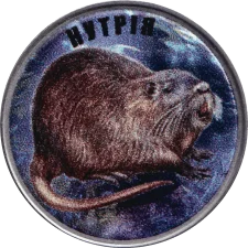 Нутрія аверс