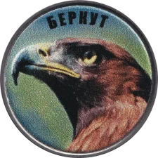 Беркут аверс
