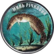 Минь річковий аверс