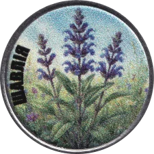 Шавлія аверс