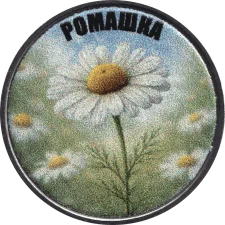 Ромашка аверс