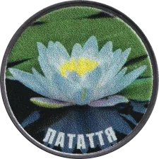 Латаття аверс
