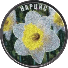 Нарцис аверс