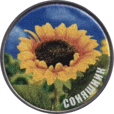 Соняшник аверс