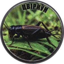 Цвіркун аверс