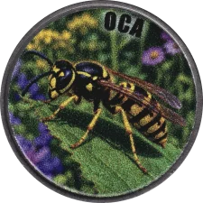 Оса аверс