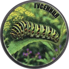 Гусениця аверс
