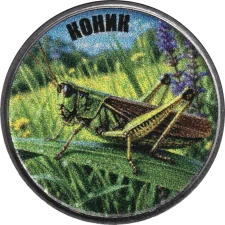 Коник аверс