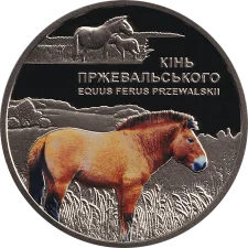Кінь Пржевальського 5 грн аверс