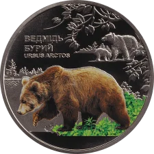 Ведмідь бурий 5 грн аверс