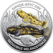 Чорне море. Рак-самітник аверс