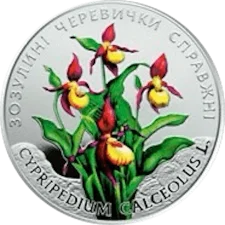 Зозулині черевички справжні 2 грн аверс
