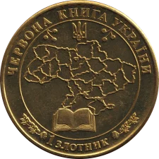 Ведьмідь бурий реверс