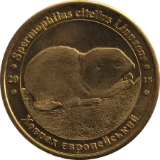 Ховрах європейський аверс