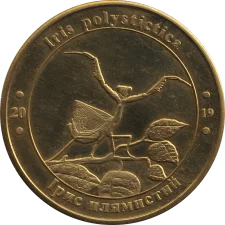 Ірис плямистий аверс