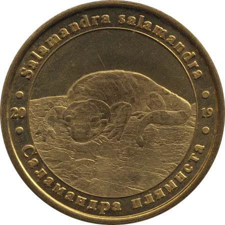 Саламандра плямиста аверс