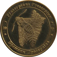 Бражник прозерпина аверс