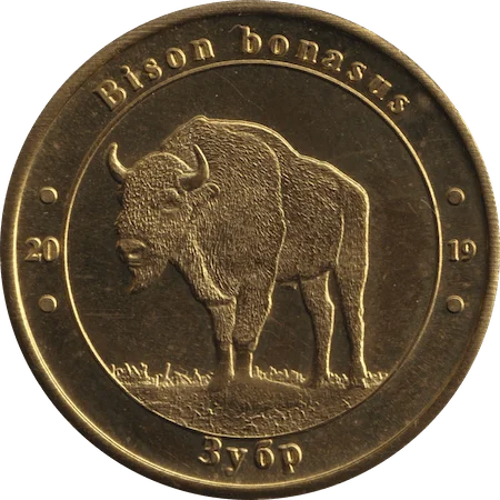 Зубр аверс
