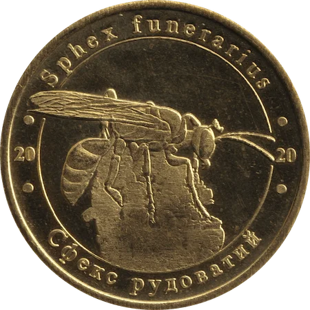 Сфекс рудуватий аверс