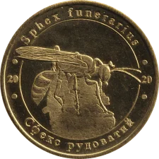 Сфекс рудуватий аверс