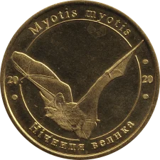 Нічниця велика аверс
