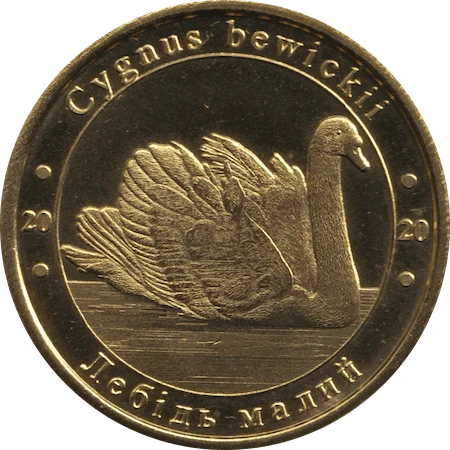 Лебідь малий аверс
