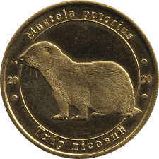Тхір лісовий аверс