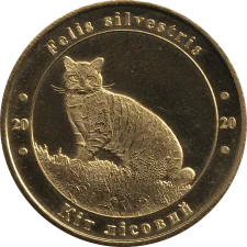 Кіт лісовий аверс