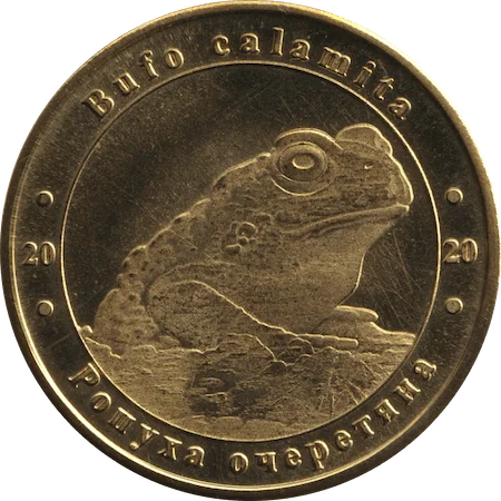 Ропуха очеретяна аверс