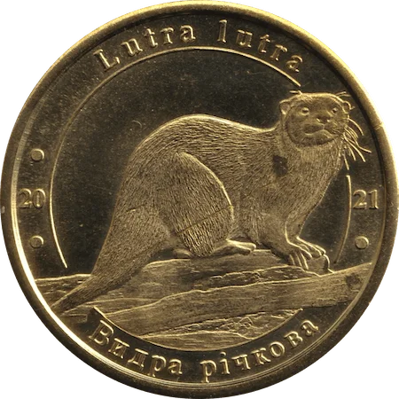 Eurasian otter obverse