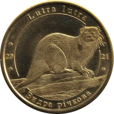 Видра річкова аверс