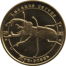 Жук-олень аверс