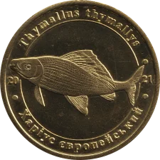 Харіус європейський аверс