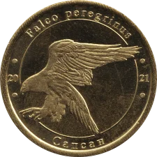 Сапсан аверс